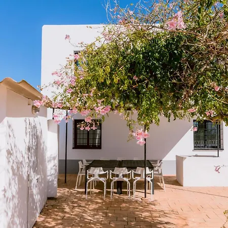 Torres Is A Great Only A 10 Minute Walk From The Centre Of Playa Den Bossa Villa *